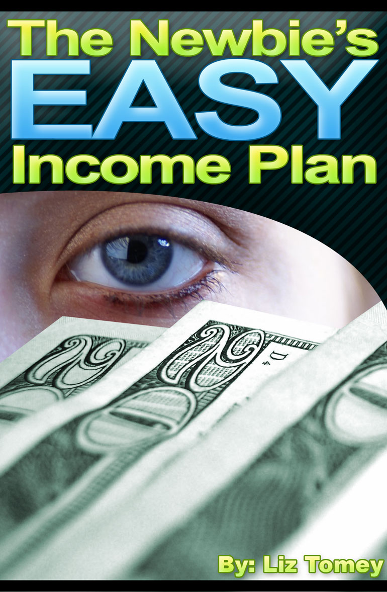 The Newbie S Easy Income Plan